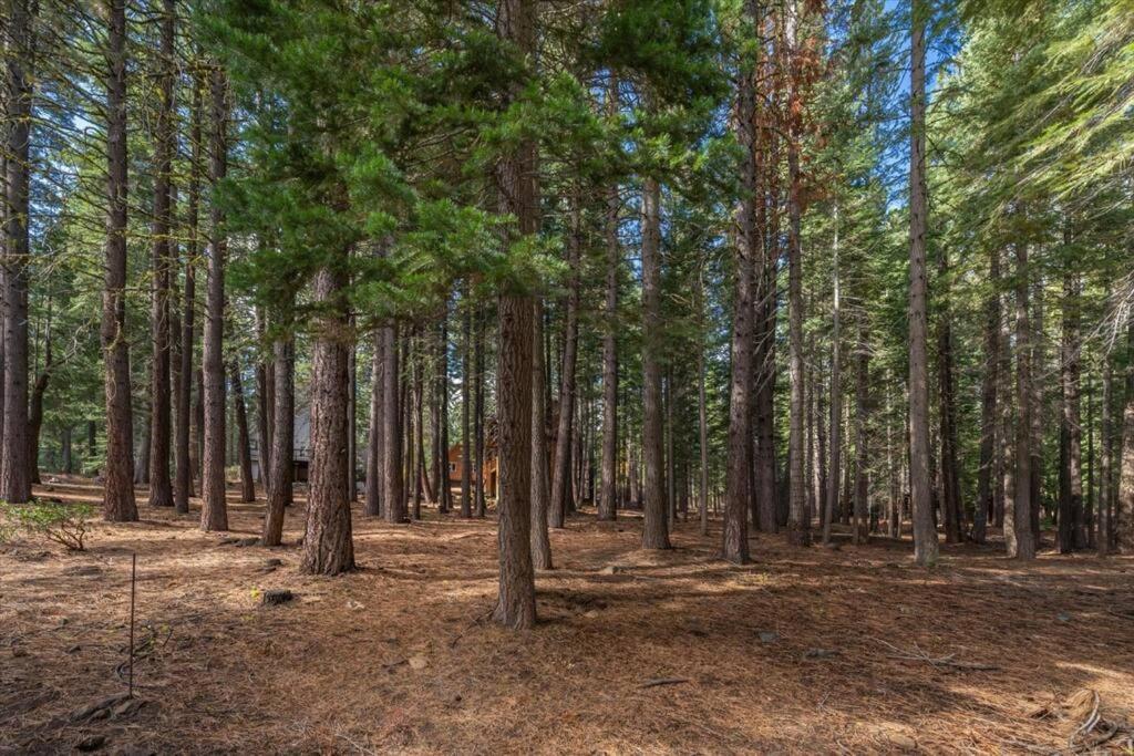 3Br Tahoe Donner Cabin With Hoa Perks Like Pools Hot-Tub Minutes To Trails Lake Golf Тракі Екстер'єр фото